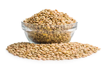 Uncooked green lentil in bowl isolated on white background.
