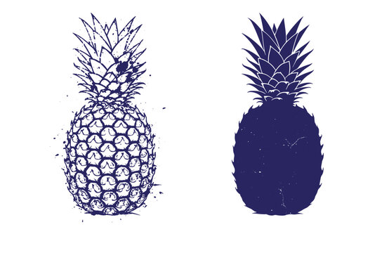 Grunge texture Pineapple fruit illustrations in two different styles on white background Vintage Style