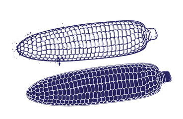 Grunge texture Two corn on the cob in dark blue outline and solid fill on white background Vintage Style