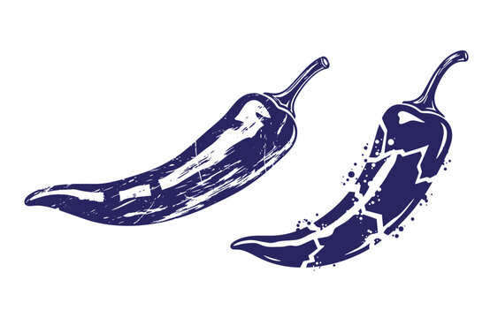 Grunge texture Two dark blue chili peppers with white highlights on white background  one intact and one cracked Vintage Style