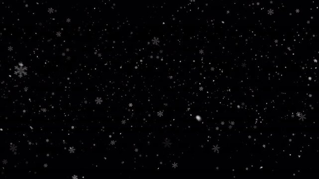 Winter snow. Overlay with falling snowflakes. Seamless snowing loop, 50 FPS, ProRes with alpha channel (transparent background).
