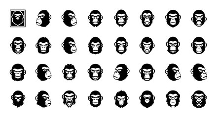 Set of Ape Vector Illustration