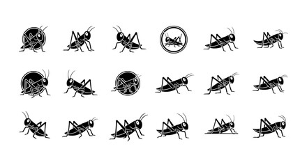 Set of Grasshopper Vector Illustration