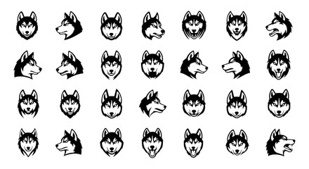 Set of Husky Vector Illustration © Pixern