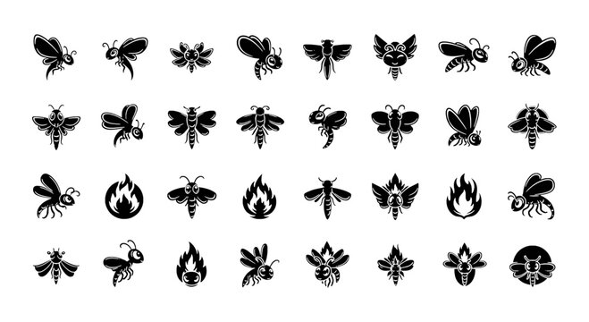 Set of Firefly Vector Illustration