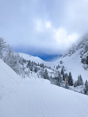 Fototapeta premium Snowy alpine peaks with clouds and pine trees in Switzerland, beautiful view of winter landscape with fresh snow and dramatic mountain scenery