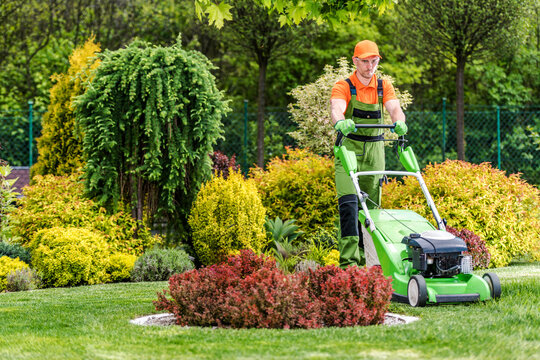 Lawn Care Worker Mows Grass in Garden Area on Sunny Day