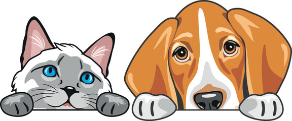 Peeking Siamese cat and Foxhound dog. Vector.eps