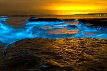 Naklejka premium Bioluminescent waves glowing blue around coastal rock platforms at night in Jervis Bay, New South Wales, Australia, with illuminated water and calm ocean conditions.