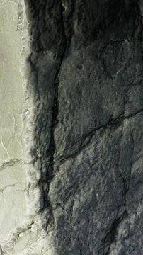 sunlight gently illuminates a rugged rock surface