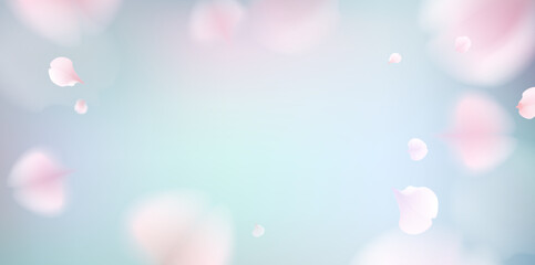Soft and delicate pastel petals floating against a serene blue background.
