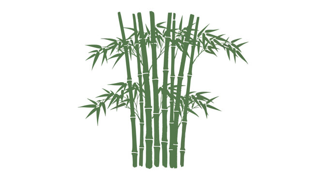 Bamboo Plant Botanical Vector Green bamboo plant flat vector illustration with detailed leaves and stems, minimalist botanical design for eco branding, spa logo, wellness poster and nature themed grap