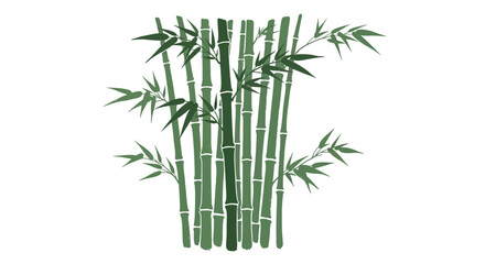 Fototapeta premium Vector illustration of a bunch of green bamboo stalks with leaves isolated on white background