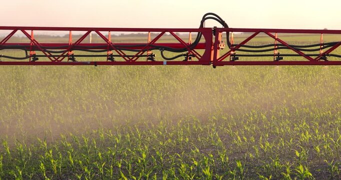 Crop sprayer working on a corn field, slow motion. Spring day landscape, rural scene. Spraying to protect corn from weeds to the increase crop yield.