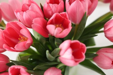 Obraz premium Bouquet of pink tulips on blurred light background, closeup
