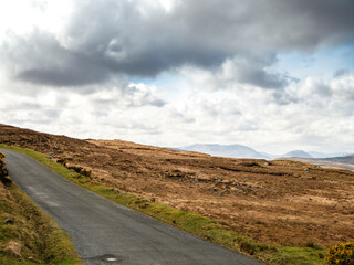 Small narrow country road between vast field in Connemara, Ireland. Travel and tourism. Agriculture land and farming. Nobody. Vivid cloudy sky. Irish nature landscape scenery.