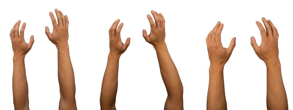 Set of adult Male Asian arms and hand gestures isolated with white background. Raised hands and soft grab. Basketball throw. Exterior view