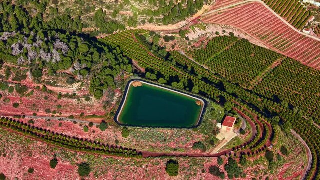 Orange plantations stretch across the landscape, with neat rows of trees and a water pond for irrigation in the center of the field.