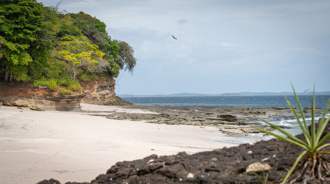 Pedro Gonzalez Island, Panama (Pearl Islands)