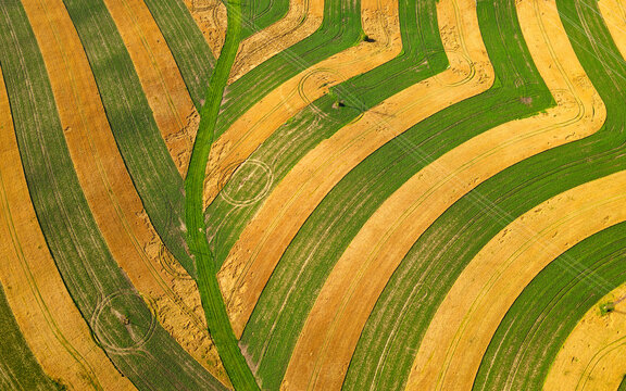 Aerial view of South Moravian farmland with curved strip fields, contrasting crops and soil, traditional agriculture landscape, Czech Republic countryside, colorful rural patterns