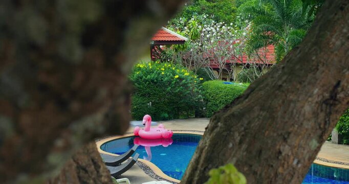 Colorful summer scene. Bright poolside vacation imagery. Relaxing tropical retreat with vivid colors and calm water. Serene summer escape featuring flamingo float and lush garden surroundings