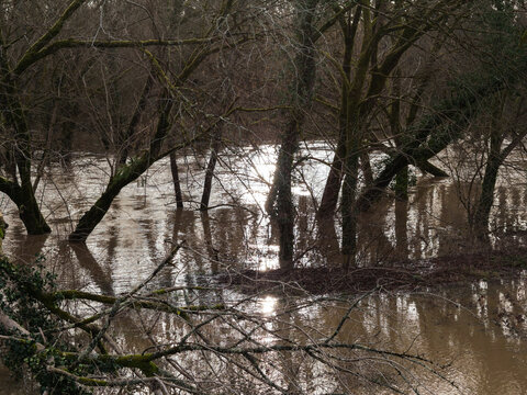 Crue de la rivi&egrave;re La Midouze, &agrave; proximit&eacute; de Mont-de-Marsan, suite &agrave; la temp&ecirc;te Nils