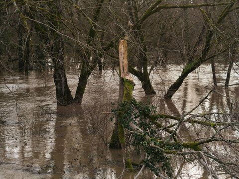 Crue de la rivi&egrave;re La Midouze, &agrave; proximit&eacute; de Mont-de-Marsan, suite &agrave; la temp&ecirc;te Nils