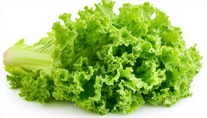 Obraz premium A single, vibrant green lettuce leaf is isolated on a white background. Its texture is crisp and the leaf is full and healthylooking, perfect for salads or as a garnish.