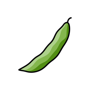 Green bean vegetable vector illustration for healthy food ingredient design.