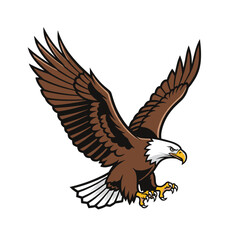 Fototapeta premium Bald eagle illustration flying with powerful spread wings and extended talons