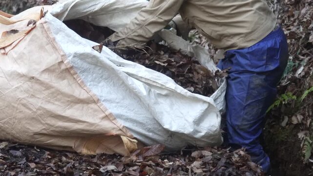 落葉を拾い集める男性