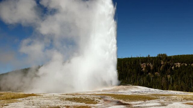 Old Faithful Geyser steam boiling water geothermal eruption Yellowstone National park Wyoming USA