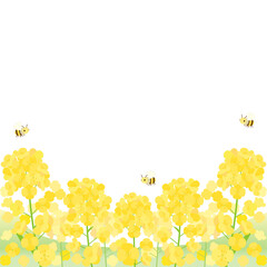 蜜蜂が飛んでいる菜の花畑をイメージしたイラスト　1：1バージョン