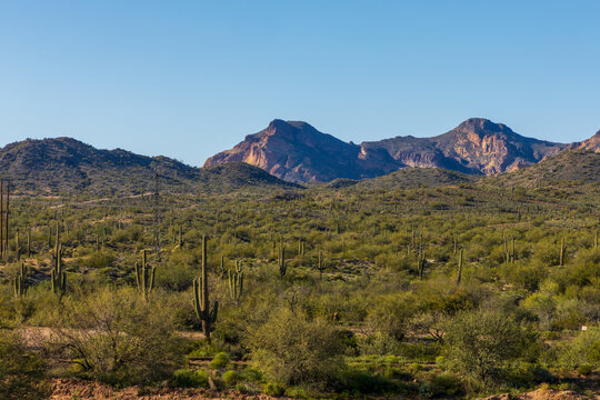 A panoramic image of the southwest desert landscape of Arizona with Saguaro cactus viewed from Goldfield Ghost Town and Mine, Phoenix, Arizona