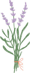 Lavender Bouquet Tied Sketch