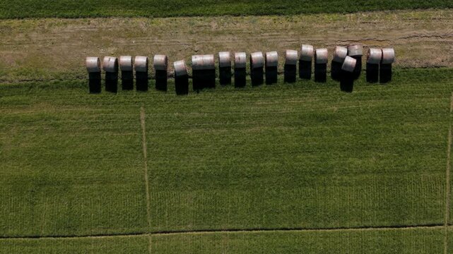 Aerial top down view of hay bales in a row on green field