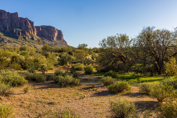 Scenic view of Superstition Mountains in Lost Dutchman State Park near Phoenix, Arizona