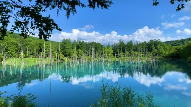 北海道美瑛町」の写真素材 | 18,659件の無料イラスト画像 | Adobe Stock