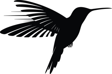 CAD drawing flat vector illustration, hummingbird silhouette in flight, nature bird design, black and white artwork, wildlife graphic element, elegant wing pose © Aron