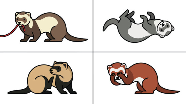 Set of Cute Cartoon Ferrets in Various Poses and Colors, Pet Mustelid Illustrations