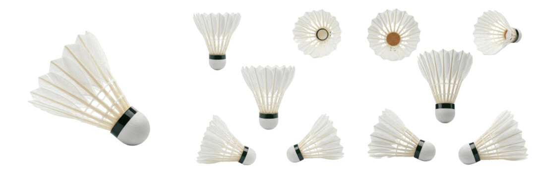 Set and collection badminton shuttlecock white feather birdy for professional sports isolated on white transparent png background