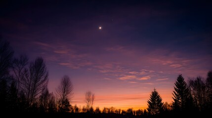 Obraz premium Vibrant Twilight Sky with Crescent Moon Over Forest Silhouette.