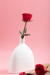 Fototapeta premium Red roses in a white vase on a pink background