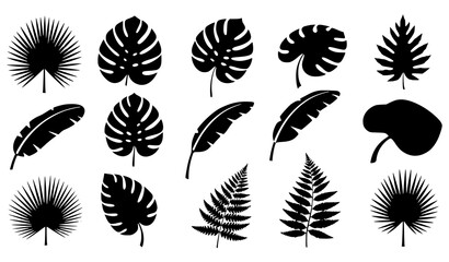 SEO Title
Tropical leaf silhouettes vector set with palm monstera and jungle leaves isolated on white background