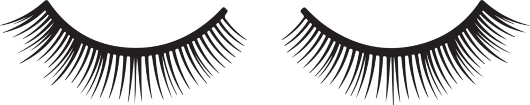 A pair of false eyelashes displayed against a white background isolated on white background, illustration