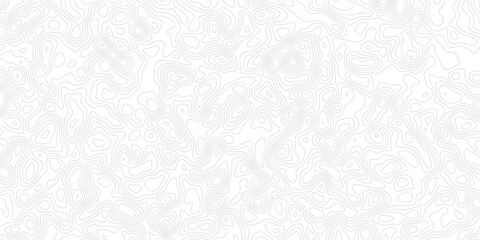Gray topographic map contour lines on white background pattern design © MD.HUZZATULLAHISLAM
