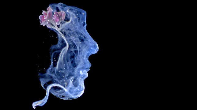 Abstract representation of a face created from smoke, with a flower atop. Evokes themes of thought, inspiration and creative spirit. The smoke face looks surreal and full of thoughts