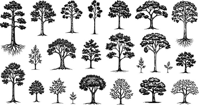 Collection of hand-drawn trees and saplings in vintage engraving style. Detailed black and white botanical sketches, perfect for nature and forest-themed design elements.