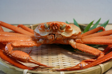 兵庫県産ベニズワイガニのアップ