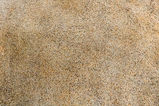 A fine aggregate wash or pebble dash surface. The texture is composed of a dense, uniform layer of tiny, multicolored pebbles and grains embedded in a beige colored base.